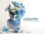 Anberlin-friendship-personal-blue